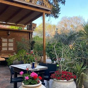 Hotel Rehovot